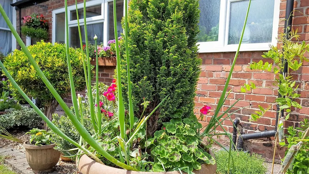 Chester Brooklands Bed & Breakfast United Kingdom